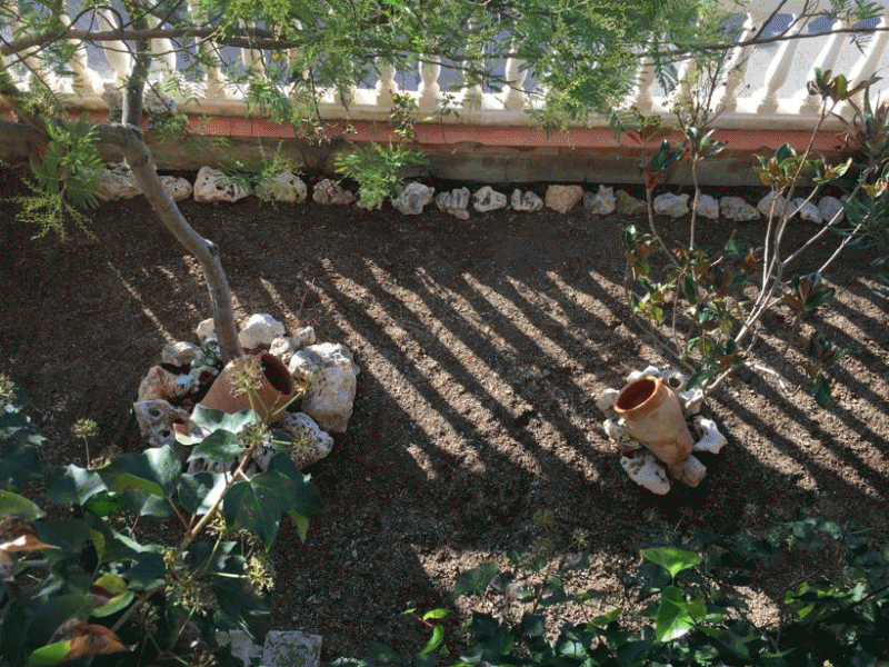 cervello / cal castany